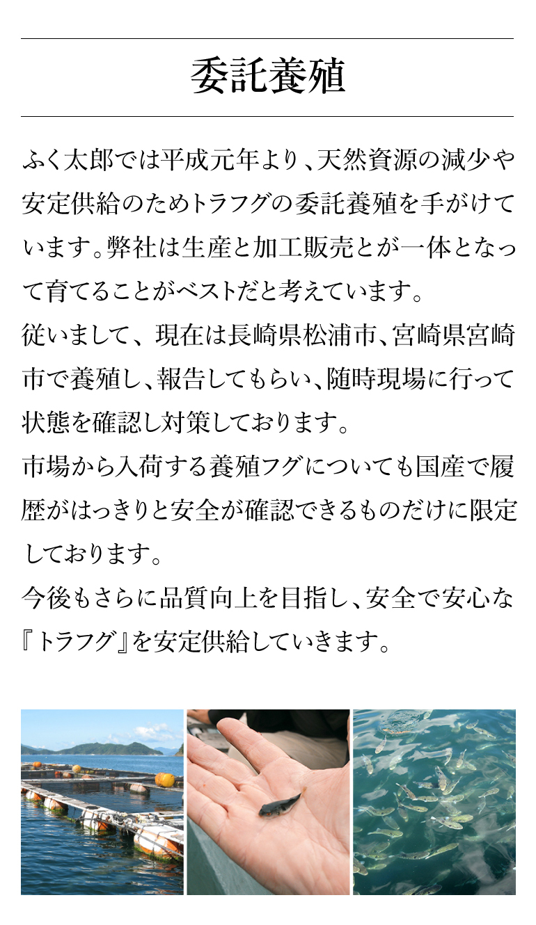 ふく太郎951041