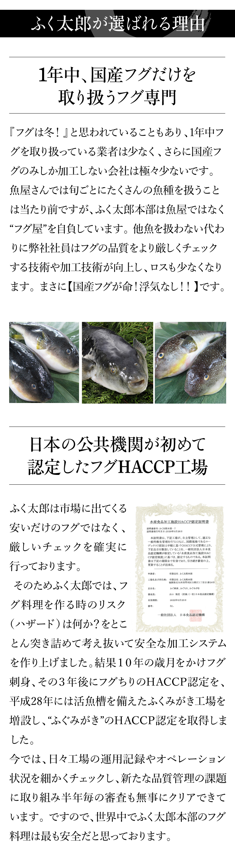 ふく太郎951042