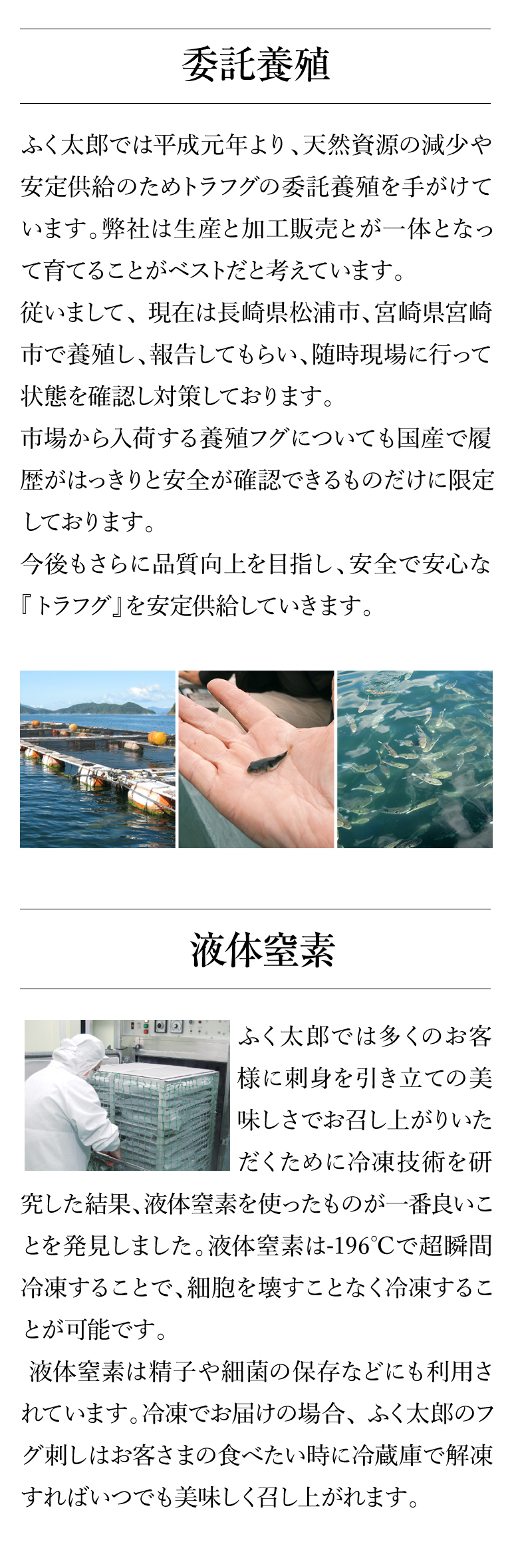 ふく太郎951042