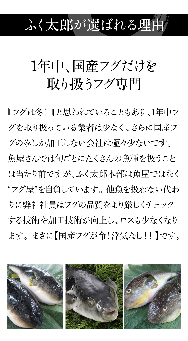 ふく太郎951044