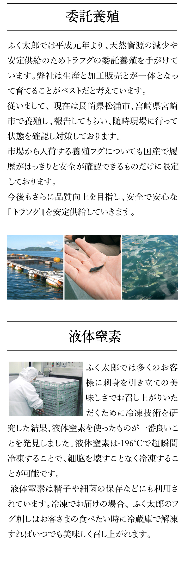 ふく太郎951044