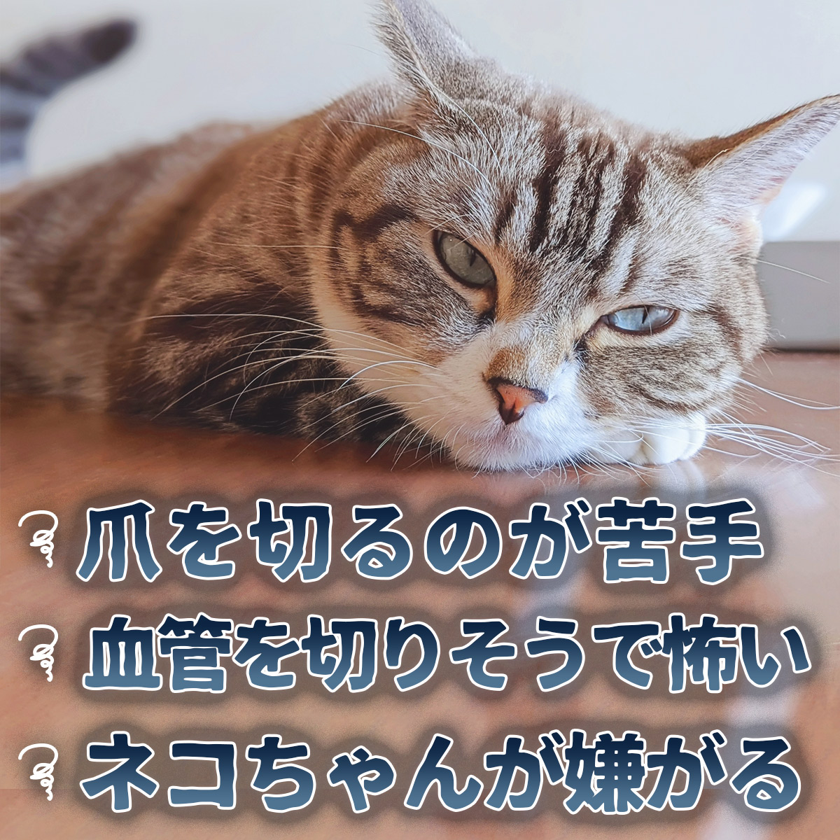 猫 爪切り 猫の爪切り ペット ペット用爪切り 猫用爪切り グッズ 暴れる 嫌がる ギロチン ネコ 丸刃