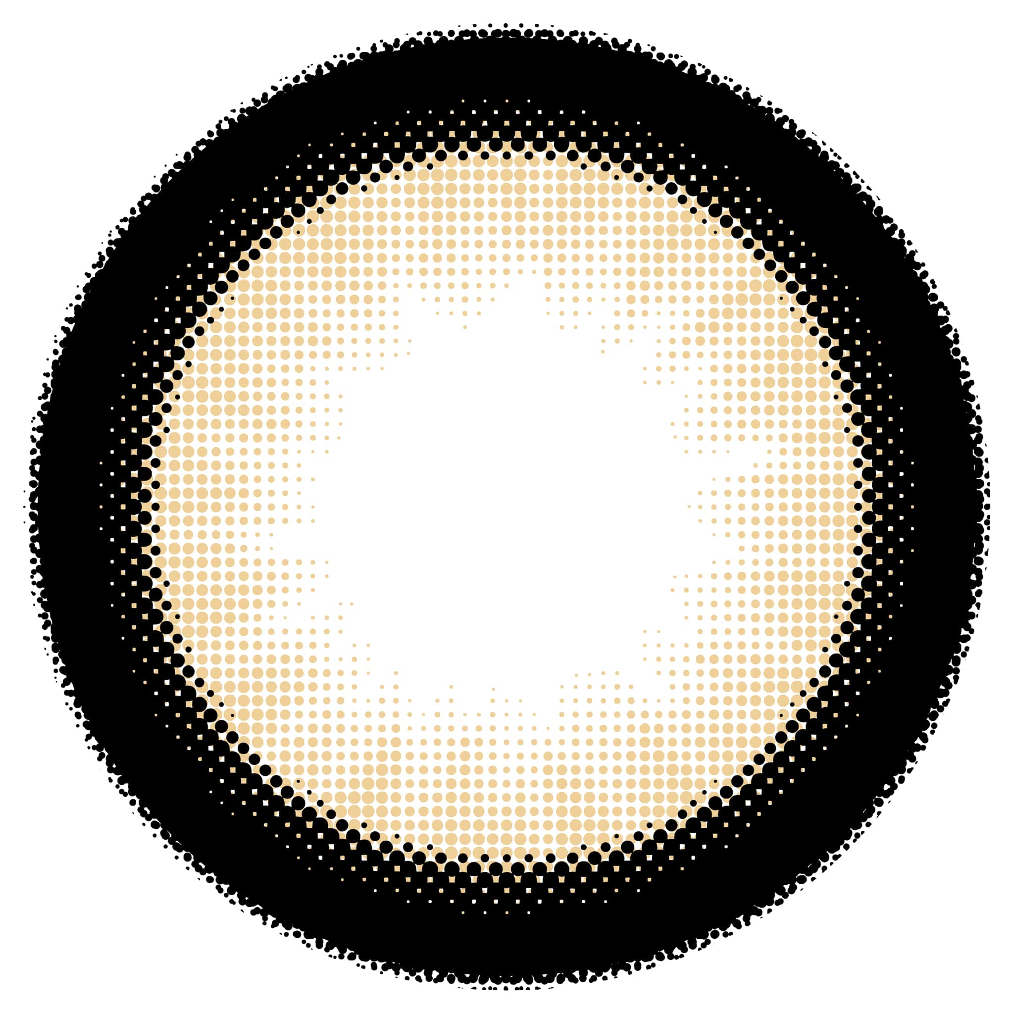 シャプン カラコン ワンデー 度あり 回らない 水光カラコン グレー