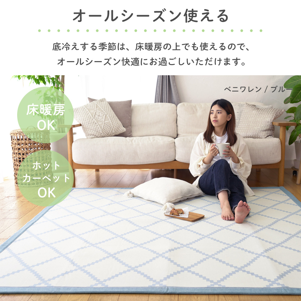 毛足が短いので日々のお手入れは掃除機でラクラク