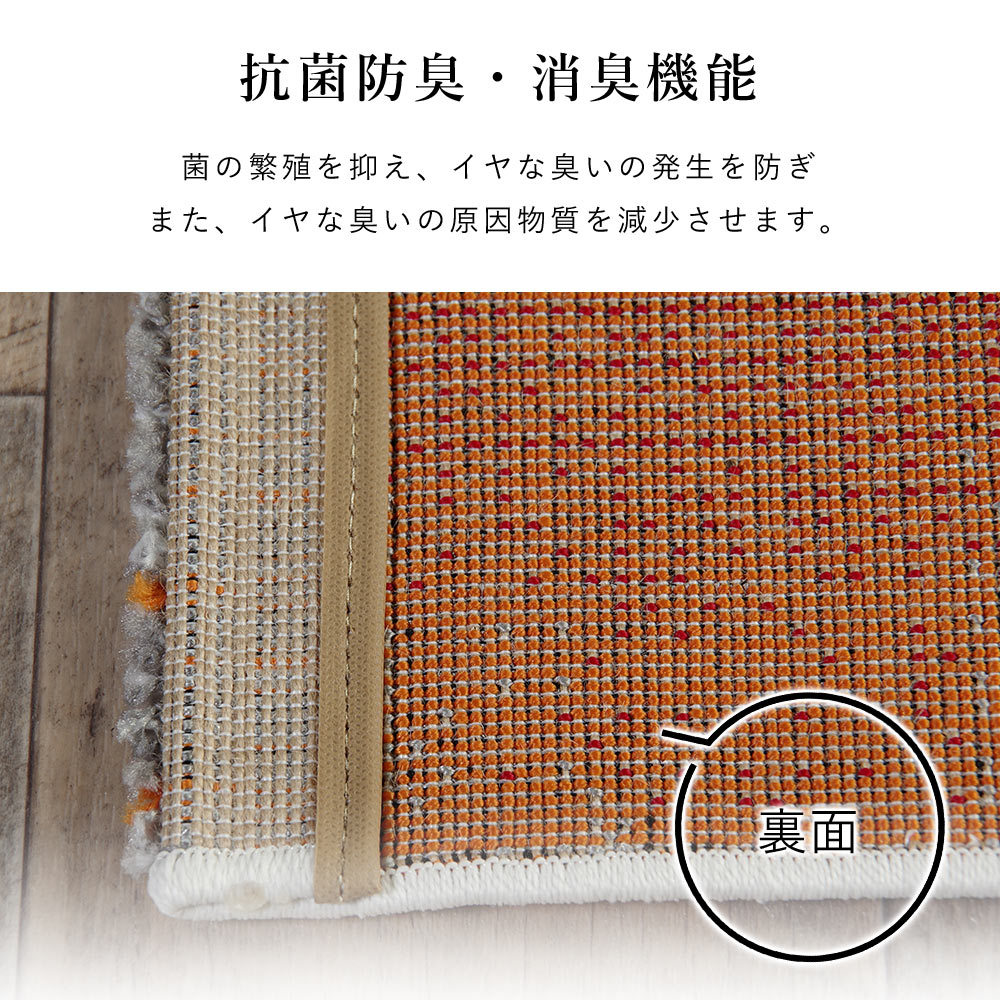 イケヒコ エデン 玄関マット マット 約60×90cm 敬老の日 : ラグ