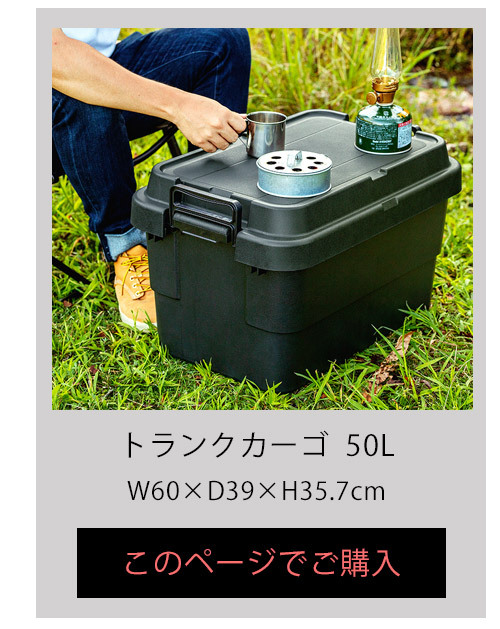 NEWトランクカーゴ 50L W60×D39×H35.7cm 収納ケース 収納ボックス