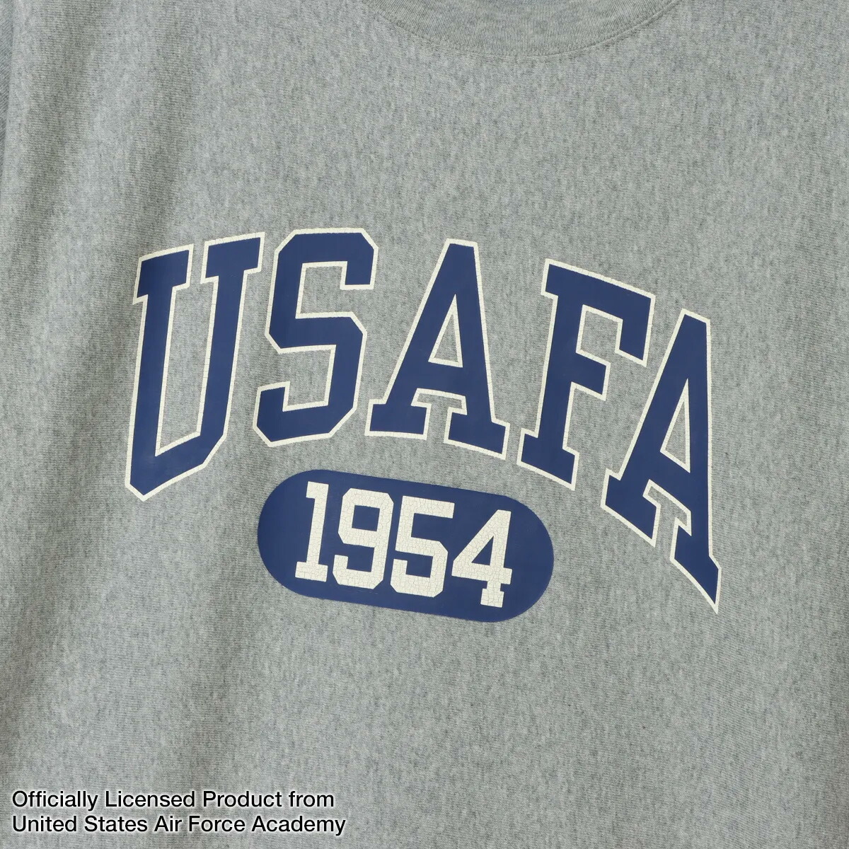 チャンピオン　リバースウィーブ Champion（チャンピオン） Champion REVERSE WEAVE S/S T-SHIRT c3