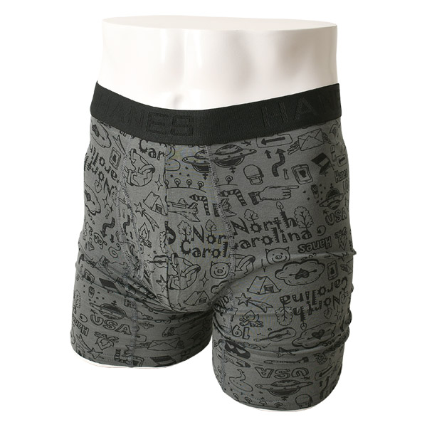 Hanes ヘインズ COMFORT FLEX FIT ボクサーブリーフ メンズ