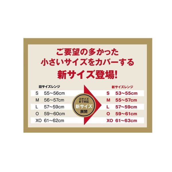 MIZUNO（ミズノ） ネイビーXOのみ フェイスガード付き 野球 硬式打者用