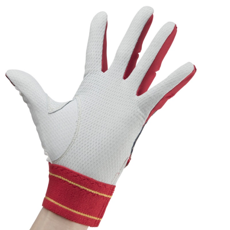 25cmのみ ミズノプロ 野球 バッティンググローブ 手袋 シリコンパワーアークLI 勝色コレクション 両手用 限定モデル 1EJEA51129