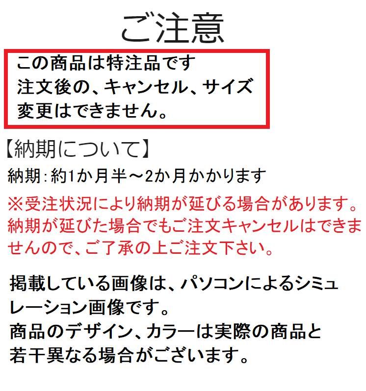 【中古品 】 ミズノ ボクシングシューズ イージースペクトラ 67パープル×05シルバー縁取り BM536 【V3044004118】 (16363円)