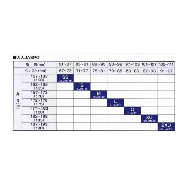 MIZUNO（ミズノ） ミズノプロ 野球 ハーフZIP長袖ジャケット