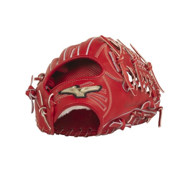 MIZUNO（ミズノ） 10〜14歳向け 野球 硬式グラブ グローブ ゴールデン