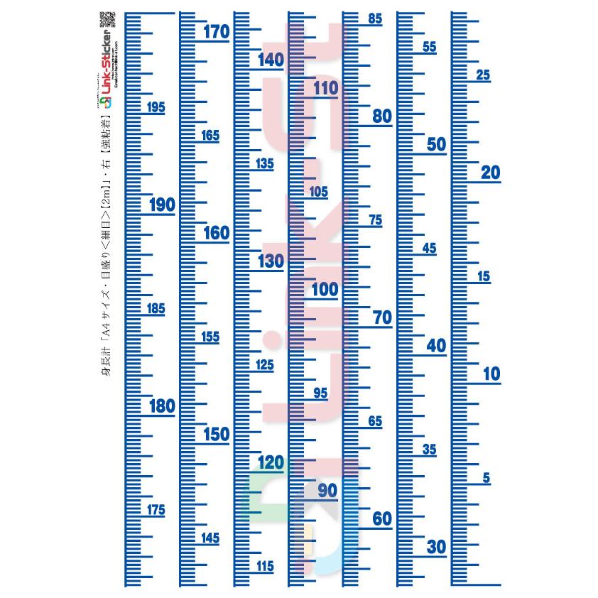 ウォールステッカー身長計「A4サイズ 目盛り＜細目＞ 2ｍ」　日本製／リンクステッカー／st0927hy｜link-st｜04