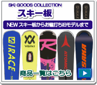 TECNICA（テクニカ） 17-18 【スキー小物/数量限定】 Racing Backpack