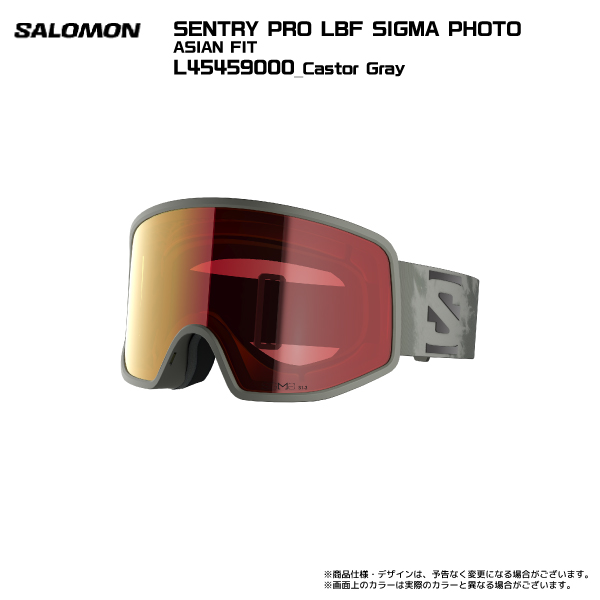 SALOMON スキーゴーグル、サングラス｜スノーボード｜スポーツ 通販
