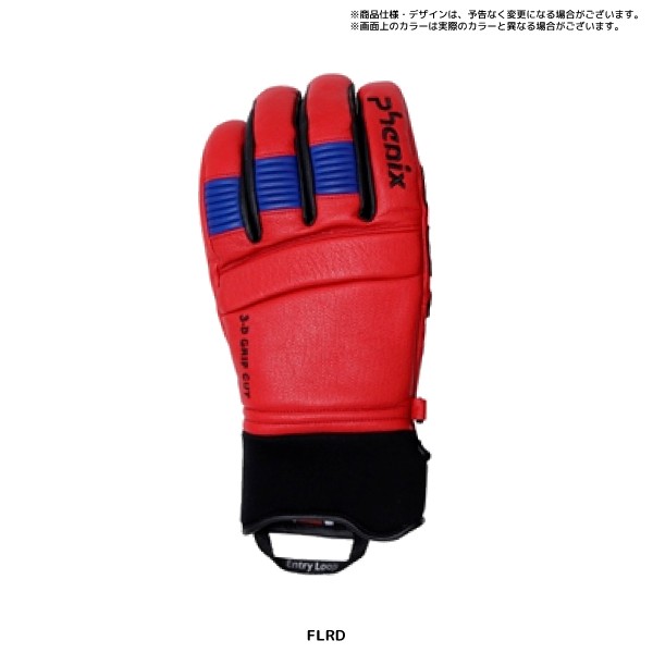 20-21 PHENIX（フェニックス）【スキーグローブ/限定品】Formula Leather Gloves（フォーミュラ  レザーグローブ）PFA78GL01【スキーグローブ】