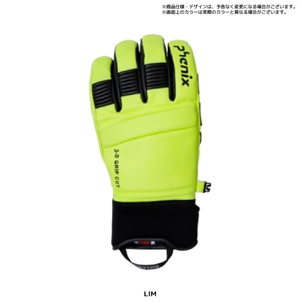 20-21 PHENIX（フェニックス）【スキーグローブ/限定品】Formula Leather Gloves（フォーミュラ  レザーグローブ）PFA78GL01【スキーグローブ】