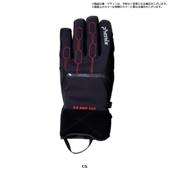 フェニックス（PHENIX） 20-21 【スキーグローブ/限定品】Demo Team