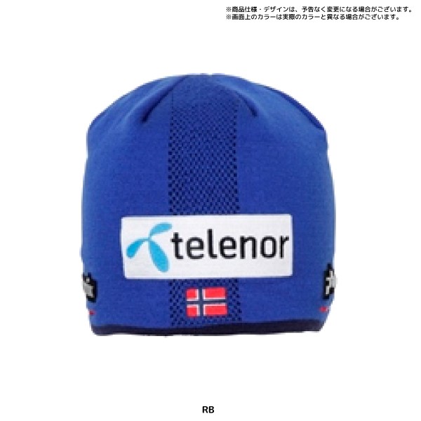 20-21 PHENIX（フェニックス）【スキーニット帽/限定品】 Norway