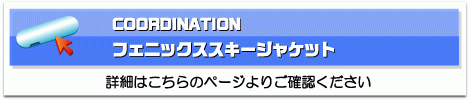 PHENIXスキージャケット