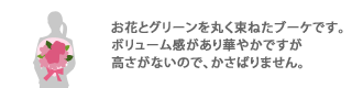 コンパクトで持ち帰りがしやすいサイズですです
