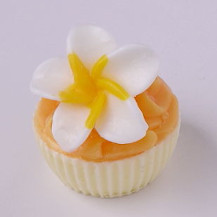 カップケーキソープ |  | 12