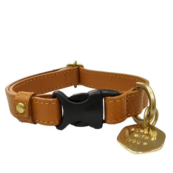 犬 首輪 メーカー直送 K.コレクション プレートカラー バックル