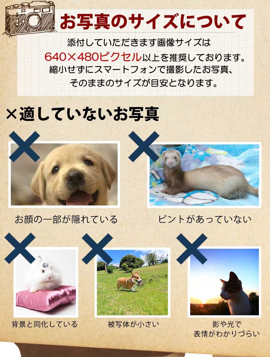 メイン5-2