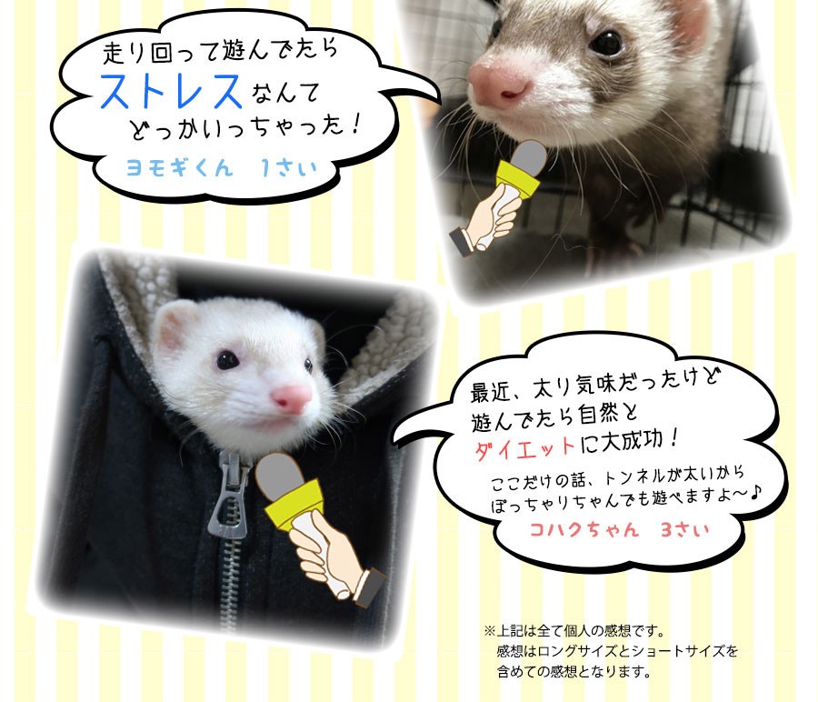 超高品質で人気の Ｌ Ｉ Ｐ フェレットトンネル ＬＩＰ４０４０