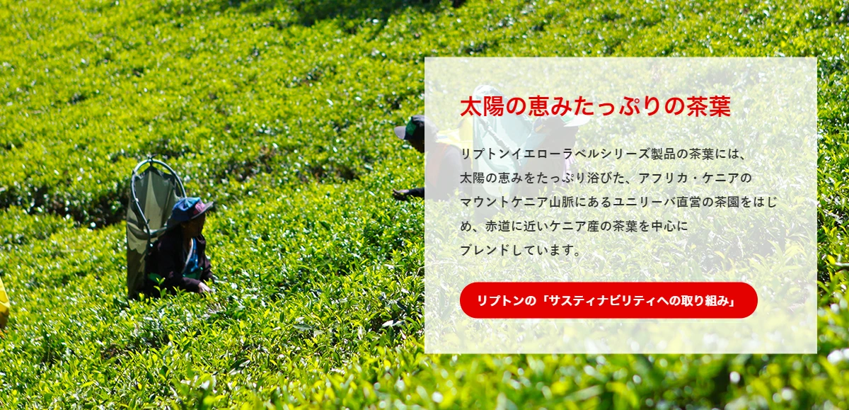 LPバナー