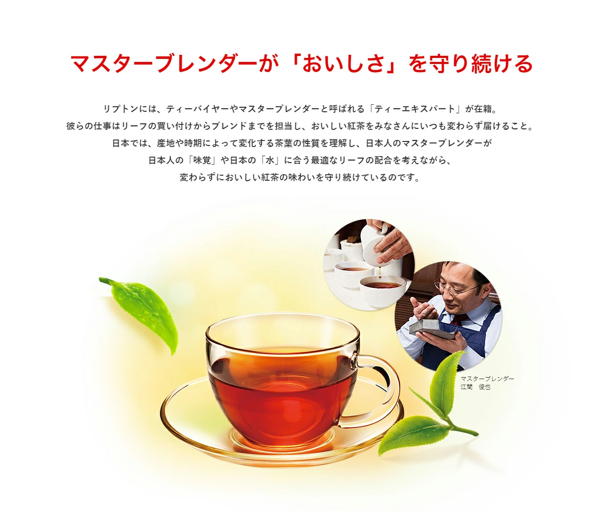 LPバナー