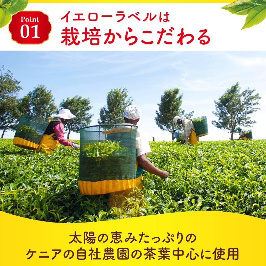 リプトン 紅茶 ピラミッド型 ティーバッグ 2g×50袋 イエローラベル 無糖 公式｜lipton-jp｜02