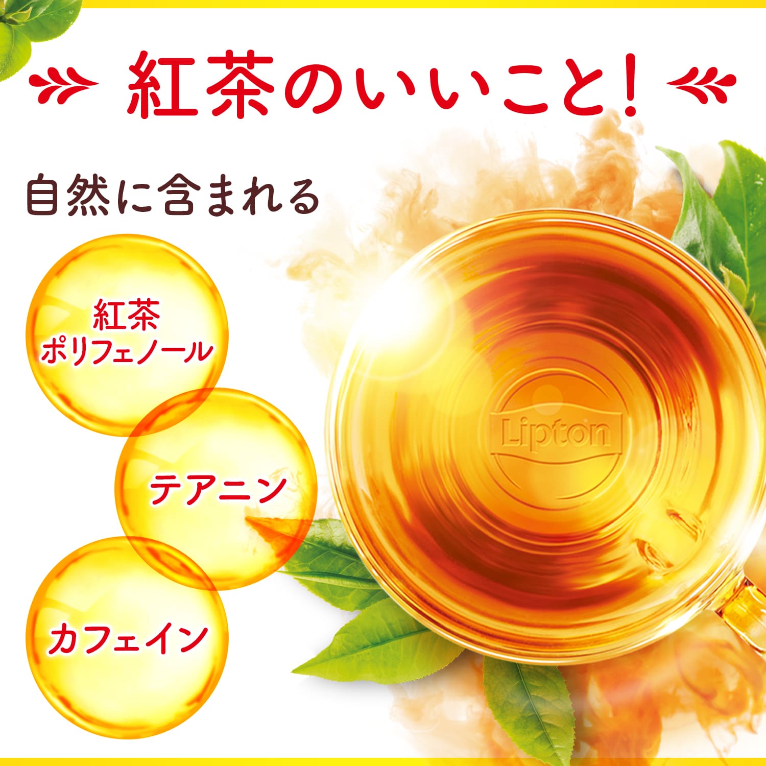 リプトン 紅茶 ピラミッド型 ティーバッグ 2g×50袋 イエローラベル 無糖 公式｜lipton-jp｜07