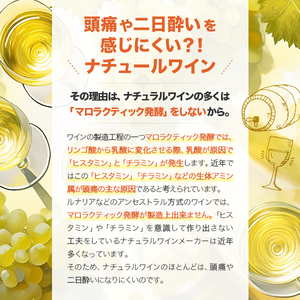 送料無料 頭痛や二日酔いを感じにくい ナチュールワイン6本セット