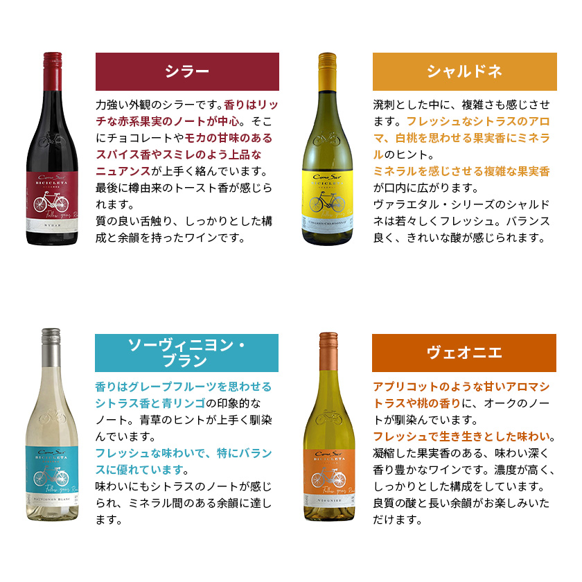 Cono Sur（コノスル） 送料無料 ワイン ワインセット ビシクレタ