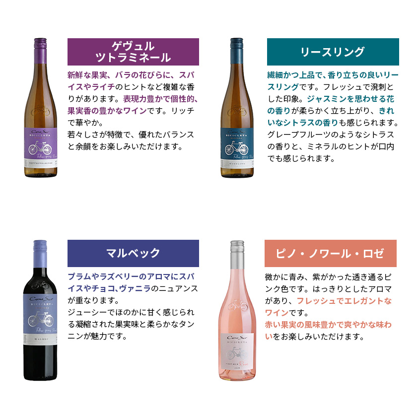 Cono Sur（コノスル） 送料無料 ワイン ワインセット ビシクレタ