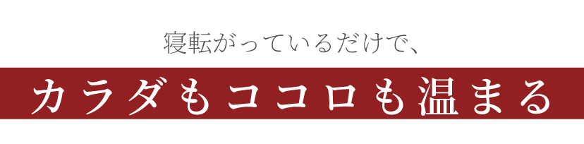 SANUKKU サヌック サウナブランケット 家庭用サウナ 自宅用サウナ 岩盤浴 サウナ ホームサウナ 1人用サウナ ヒートマット エステ