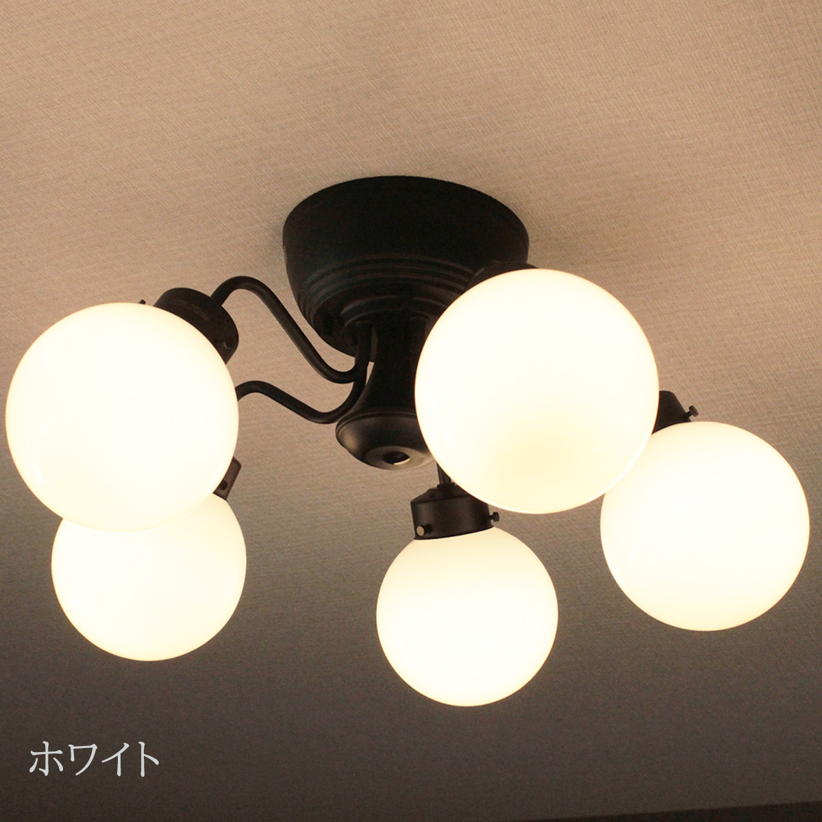 carol5bk-wh-tanpin2-tsuika.jpg