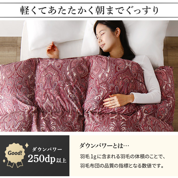 羽毛布団 掛け布団 シングル アイボリー ダウン50% 250dp パワーアップ