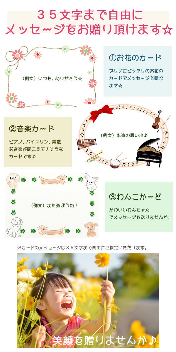 赤い上品なローズのプリザギフト壁掛け lpm0096 商品イメージ3