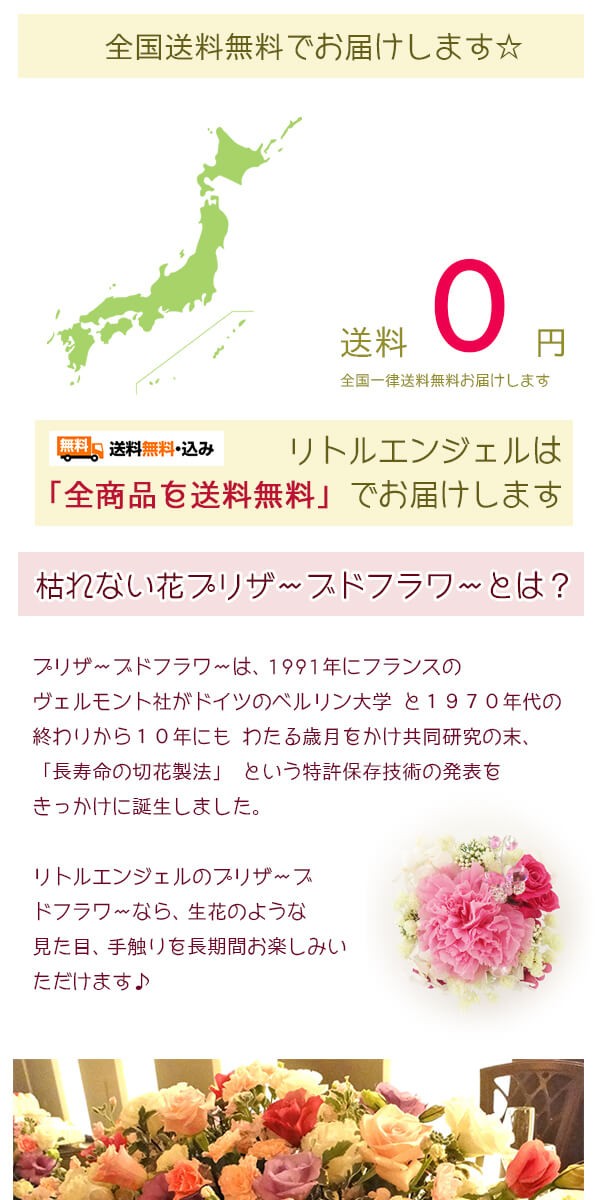 赤い上品なローズのプリザギフト壁掛け lpm0096 商品イメージ5