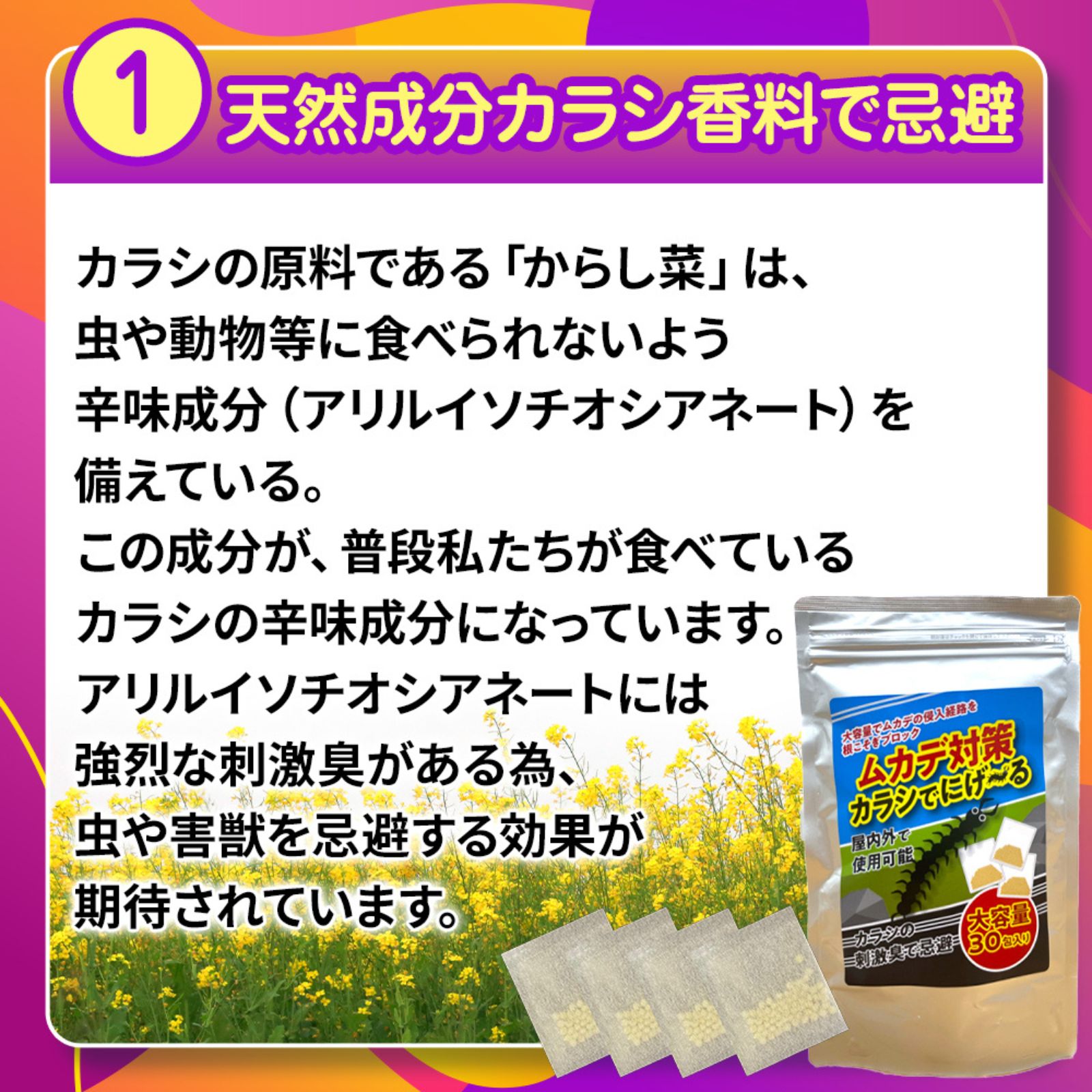 商品画像2