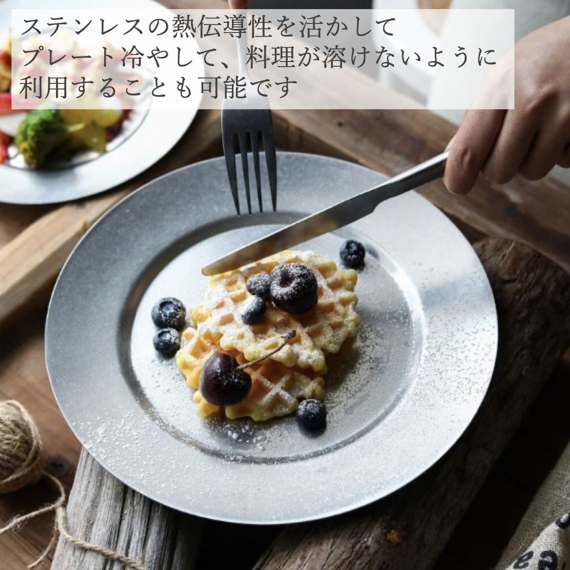 プレート皿 丸 ステンレス おしゃれ 北欧 大皿 平 デザート皿 サークルプレート 洋食器 ケーキ皿 業務用 レストラン食器 24.6cm 送料無料  即納 2枚セット : ds-05-l : リトルステップ - 通販 - Yahoo!ショッピング