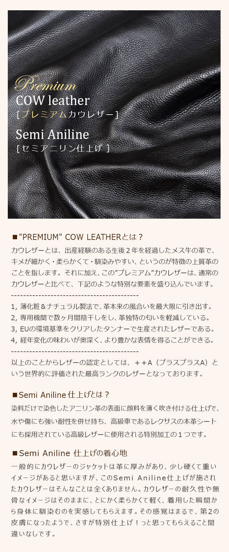 Liugoo Leathers 本革 プロテクター付レザーパンツ メンズ リューグー