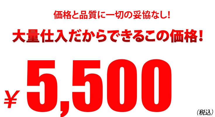エンジニアブーツ メンズ 本革 RED BIRD RD1367 革靴 本革