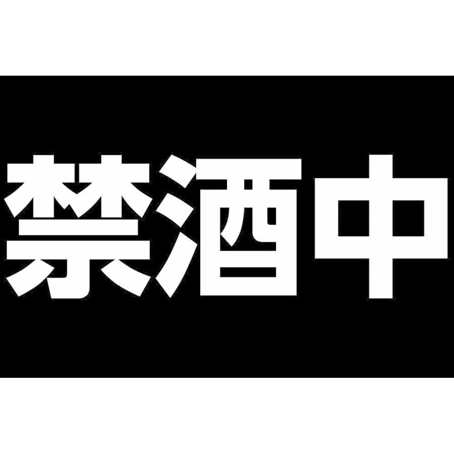 禁欲 タペストリー 禁煙 禁酒 禁パチ 禁スロ グッズ 目標 宣言 タバコ アルコール ギャンブル おしゃれ おもしろ 黒 大判 大きい 部屋 飾り 飾り付け｜live-on｜03