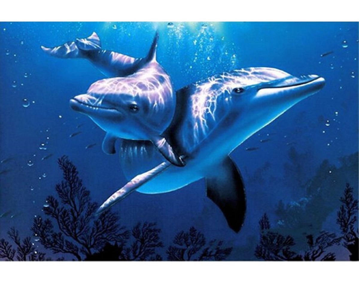 タペストリー イルカ 海 海中 海底 熱帯魚 亀 水族館 インテリア