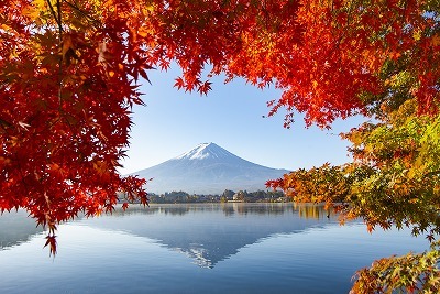 タペストリー 富士山 紅葉 河口湖 富士五湖 秋 湖 逆さ富士 現像的 絶景 インテリア おしゃれ 和風 和モダン 和室 大きい 布 目隠し 背景 グッズ 部屋 飾り Oth 190 Live On 通販 Yahoo ショッピング タペストリー 富士山 紅葉 河口湖 富士五湖 秋 湖 逆さ富士 現像的 絶景 インテリア おしゃれ 和風 和モダン 和室 大きい 布 目隠し 背景 グッズ 部屋 飾り Oth 190 Live On 通販 Yahoo ショッピング