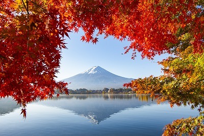 タペストリー 富士山 紅葉 河口湖 富士五湖 秋 湖 逆さ富士 現像的 絶景 インテリア おしゃれ 和風 和モダン 和室 大きい 布 目隠し 背景 グッズ 部屋 飾り｜live-on｜02